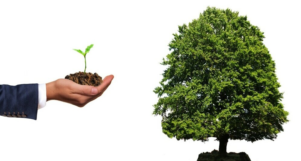 Going Green, Eco Investing