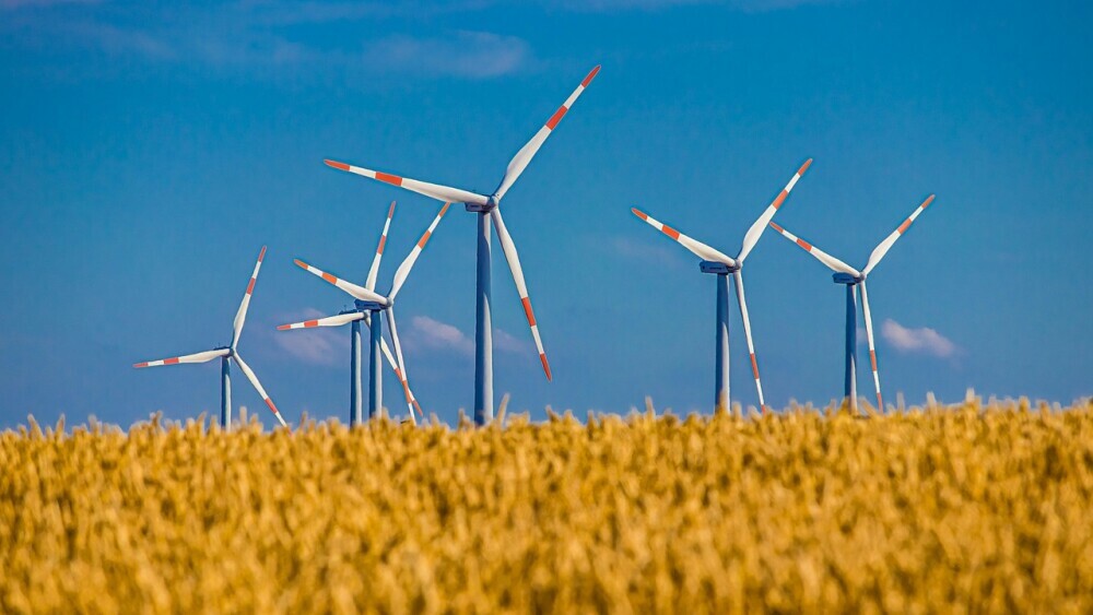 Wind Turbines and carbon credits